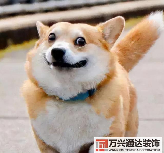 陽(yáng)臺(tái)怎么裝修家庭陽(yáng)臺(tái)怎么裝修