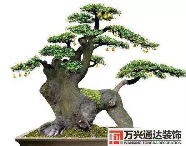 金彈子風(fēng)水金彈子風(fēng)水上怎么個(gè)說法